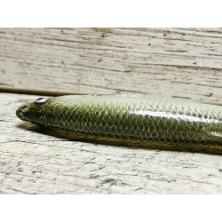 Bleak 16 cm Green Natural Tail